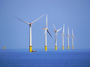 近海风能资源丰富 江苏发展海上风电大有可为